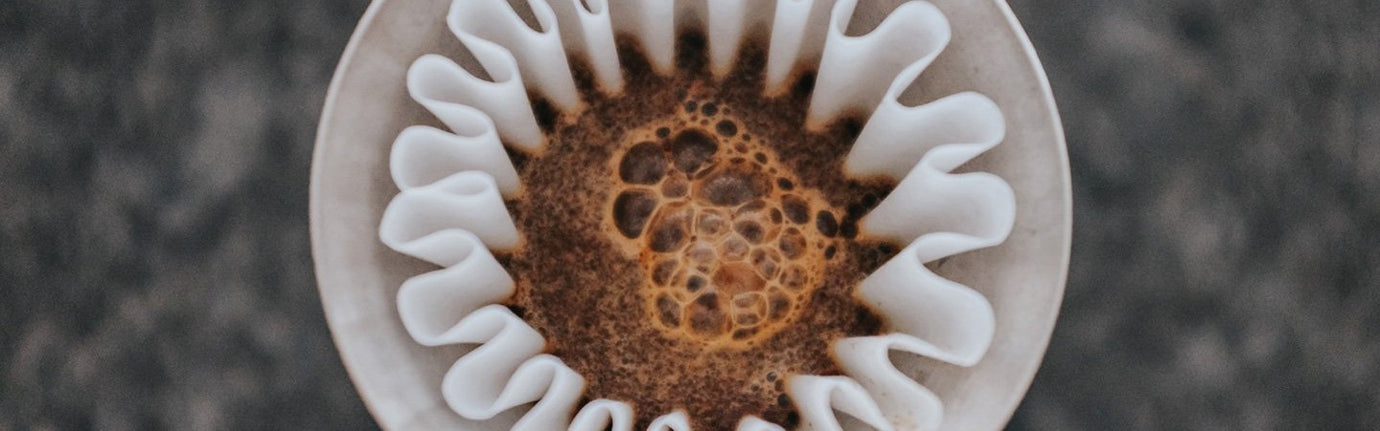 Fellow Paper Filters