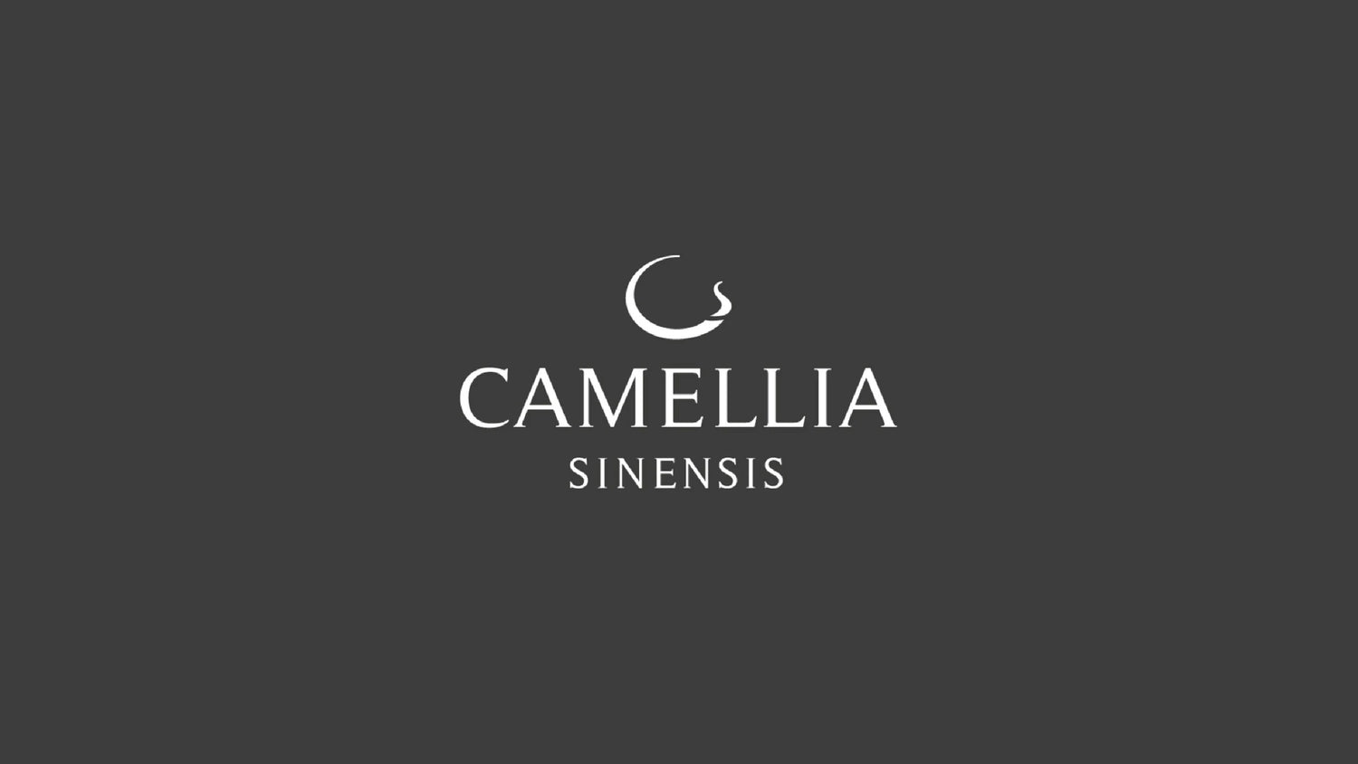 Camellia Sinensis