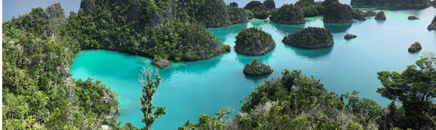 Papua New Guinea