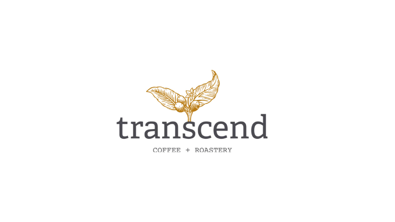 Transcend Coffee