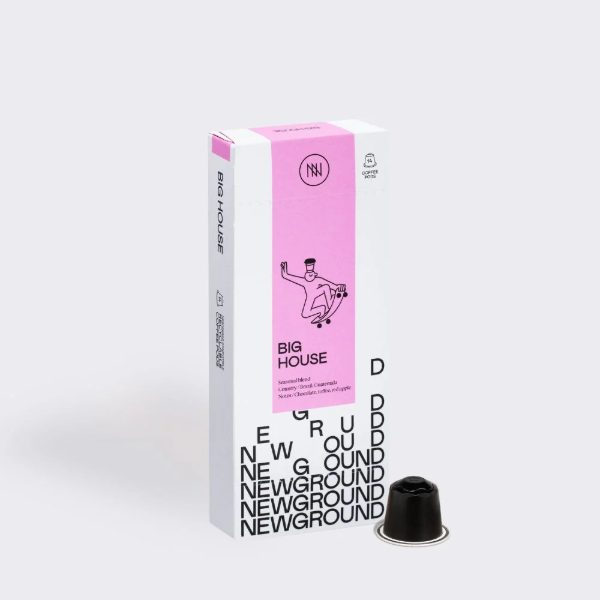 NewGround - Big House