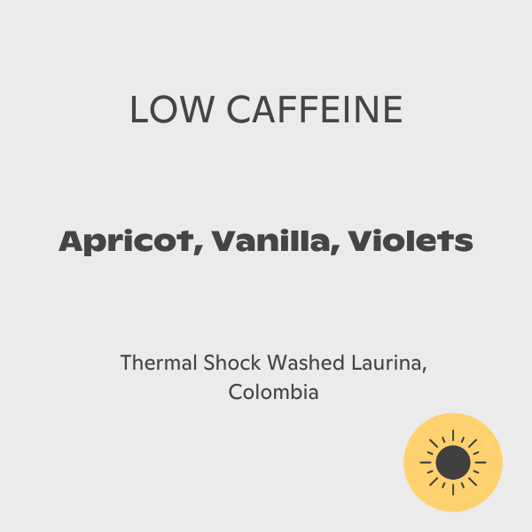 AMOC - LAURINA⁴ Colombia — La Quebraditas