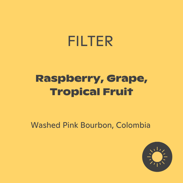 Subtext - Daniel Sanchez