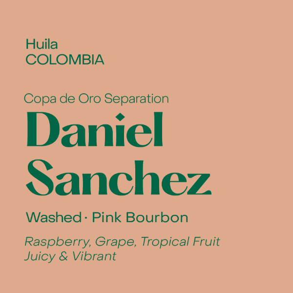 Subtext - Daniel Sanchez