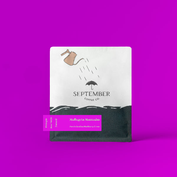 September - Mullugeta Muntasha: Natural