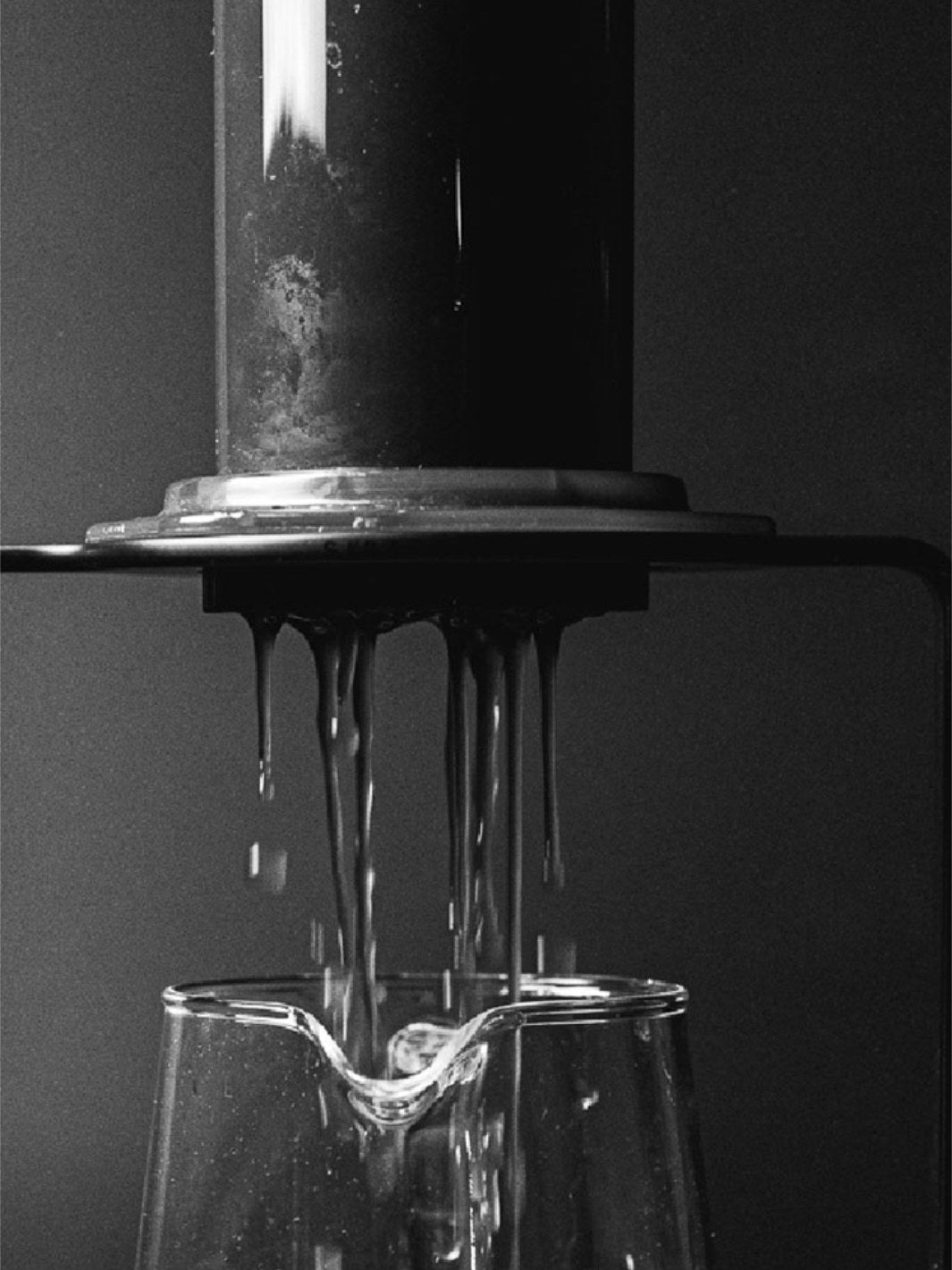 SIBARIST DISC 63 Specialty Coffee Filters