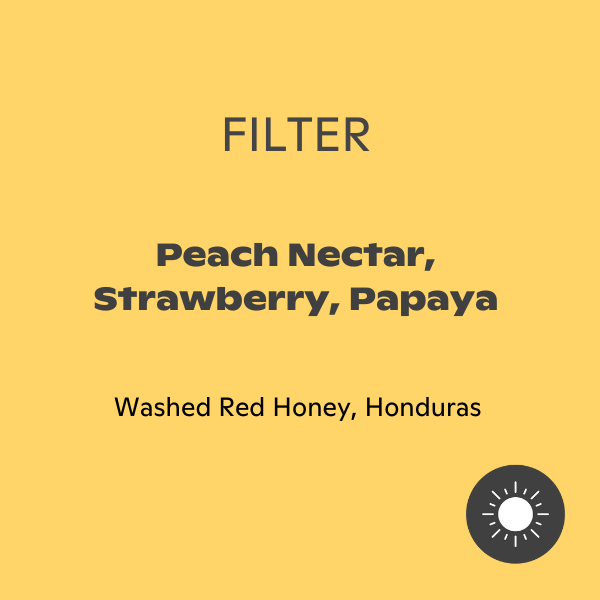 Phil & Sebastian - Elder Chavez Honey Geisha