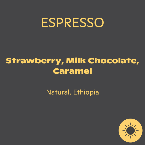 ONA Coffee - Guji G1