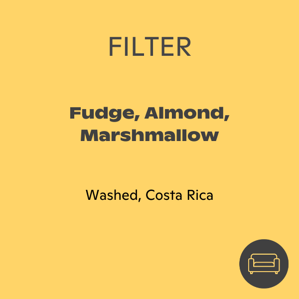 Monogram - Guanacaste Filter