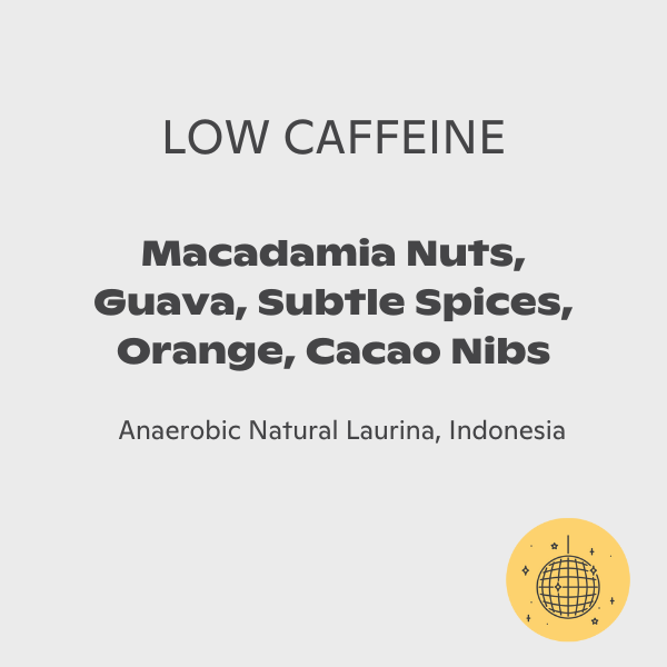 AMOC - LAURINA3 — Supriyanto