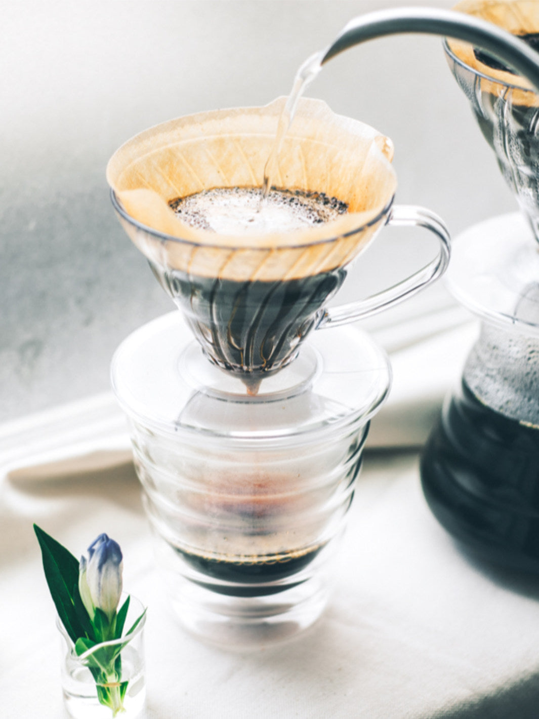 HARIO V60-01 Filters (40-Pack)