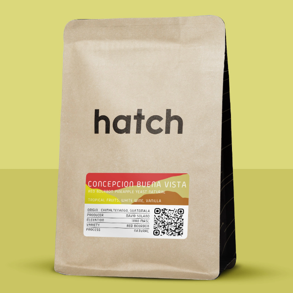 Hatch - Concepcion Buena Vista: Pineapple Yeast Natural