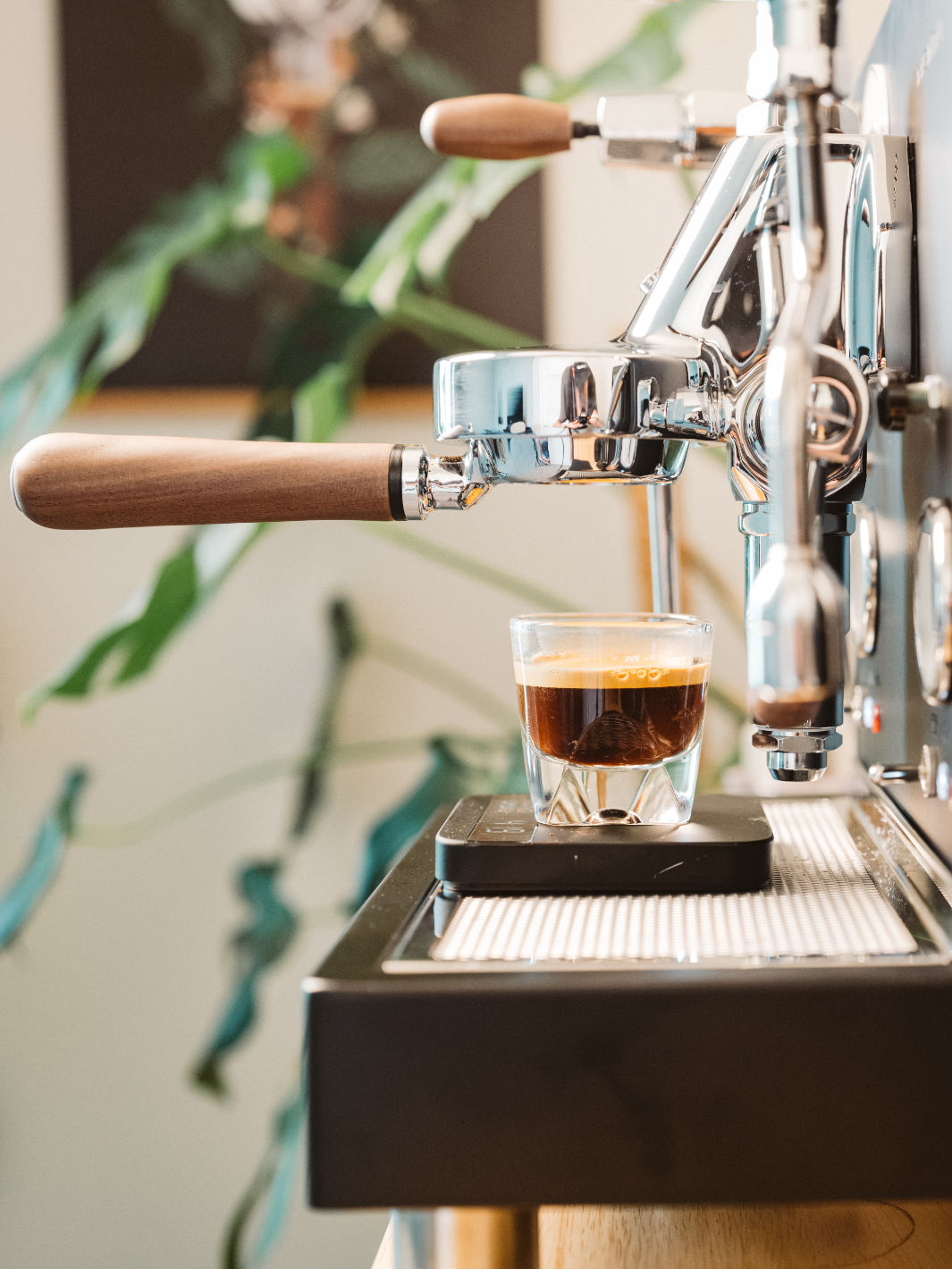 LUCCA M58 Dual Boiler Espresso Machine (120V)