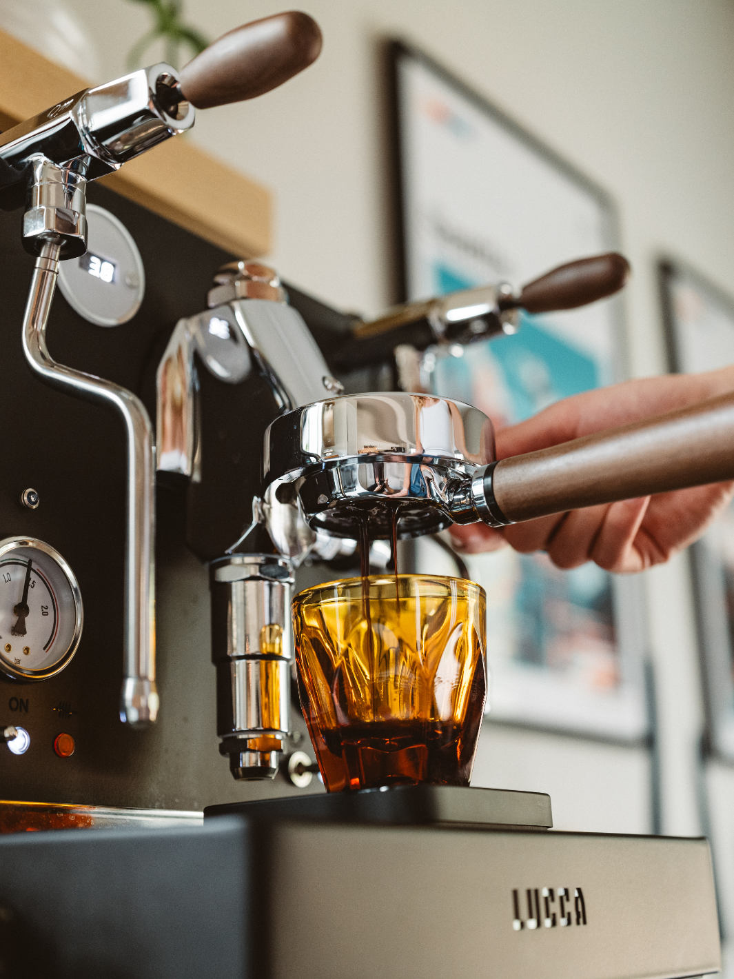 LUCCA M58 Dual Boiler Espresso Machine (120V)