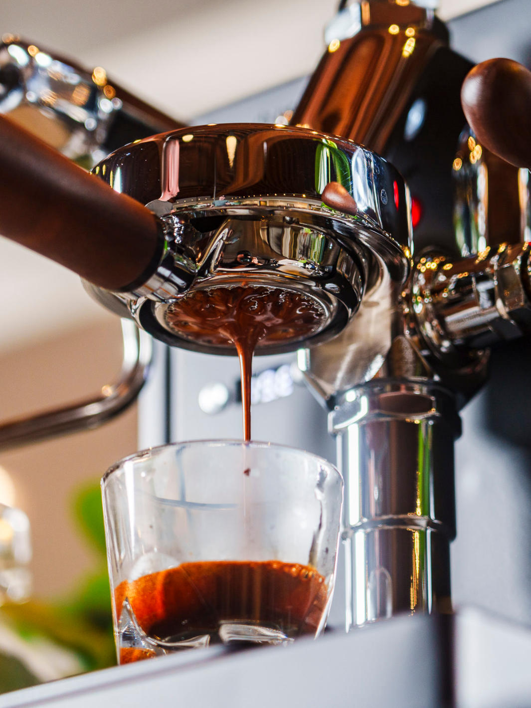 LUCCA X58 Espresso Machine (120V)