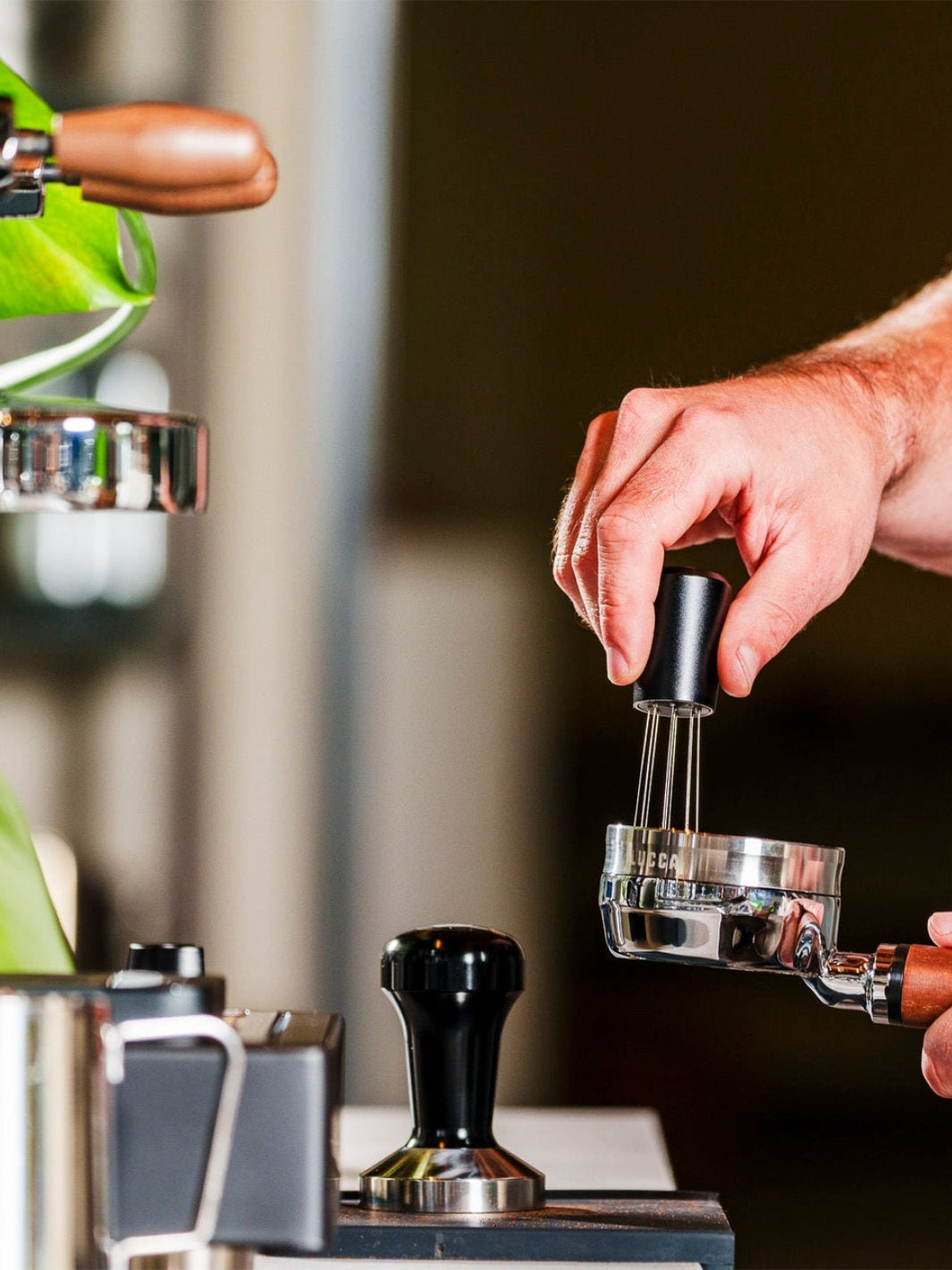 LUCCA WDT Tool (w/ stand)