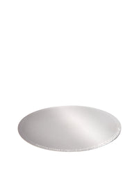 Photo of ABLE Disk ( Fine ) [ Able ] [ Metal Filters ]
