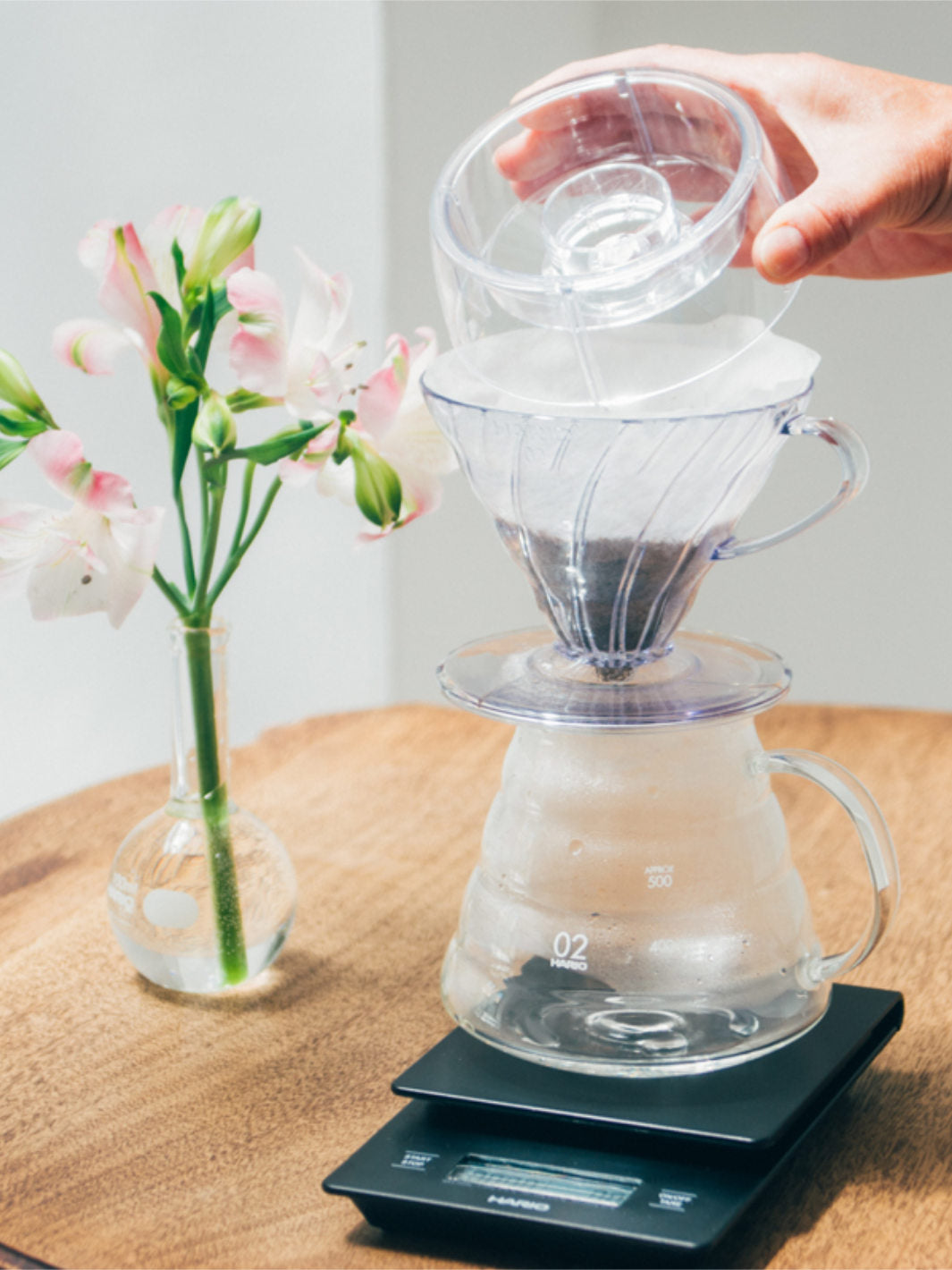 HARIO V60 Drip-Assist