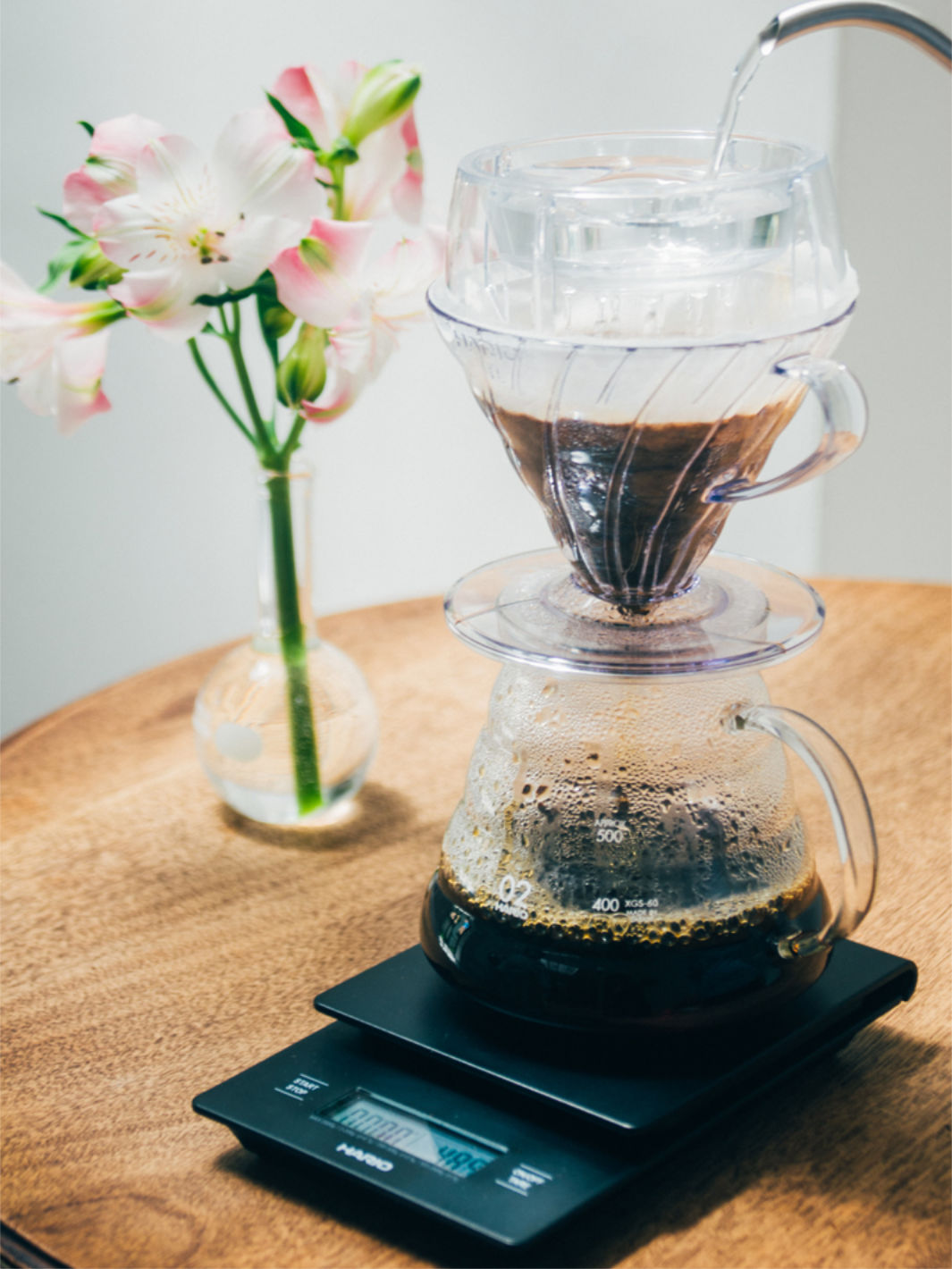 HARIO V60 Drip-Assist
