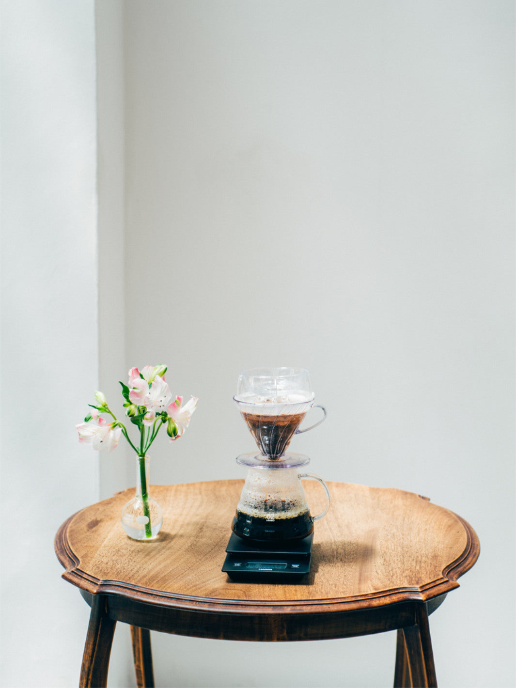 HARIO V60 Drip-Assist