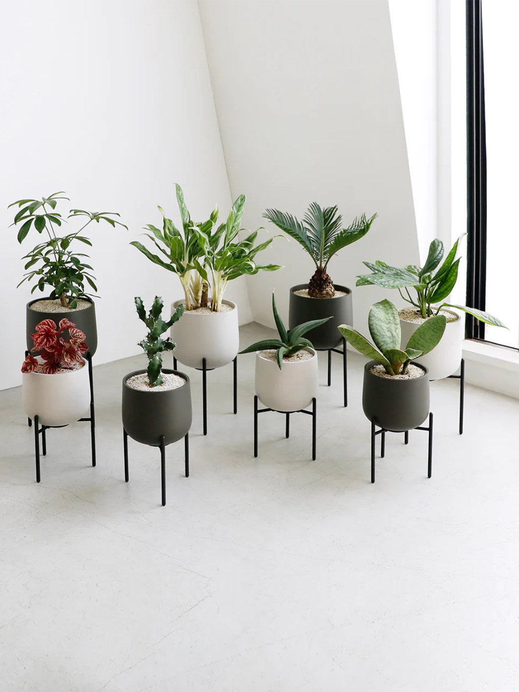 KINTO PLANT POT 211 (135mm/5.4in)
