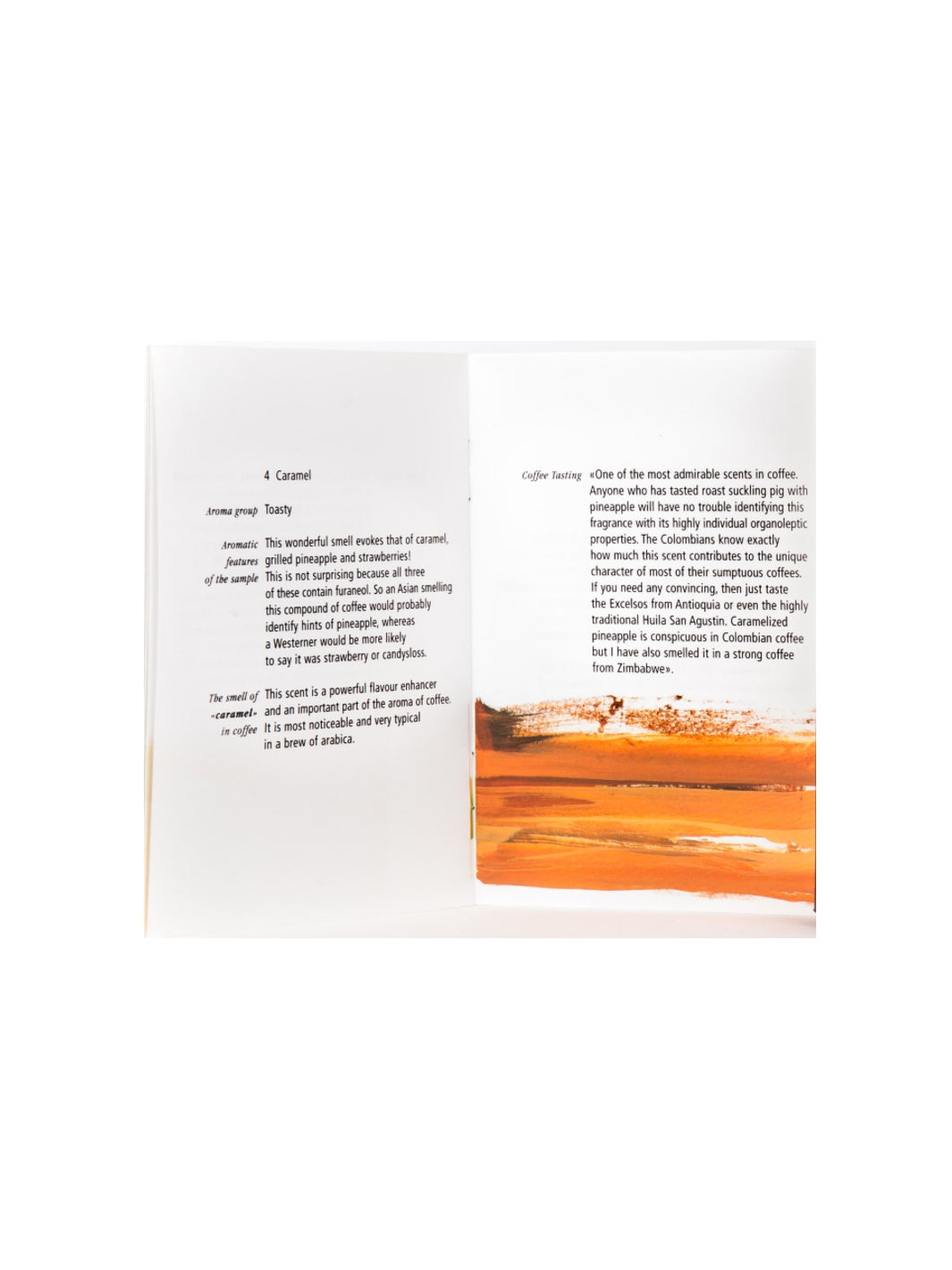 Le Nez du Café Temptation (6 aromas) (English)