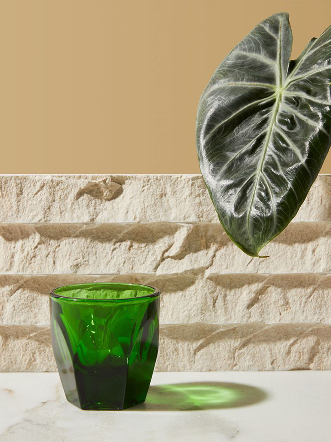 notNeutral VERO Cortado Glass (4.25oz/125ml)