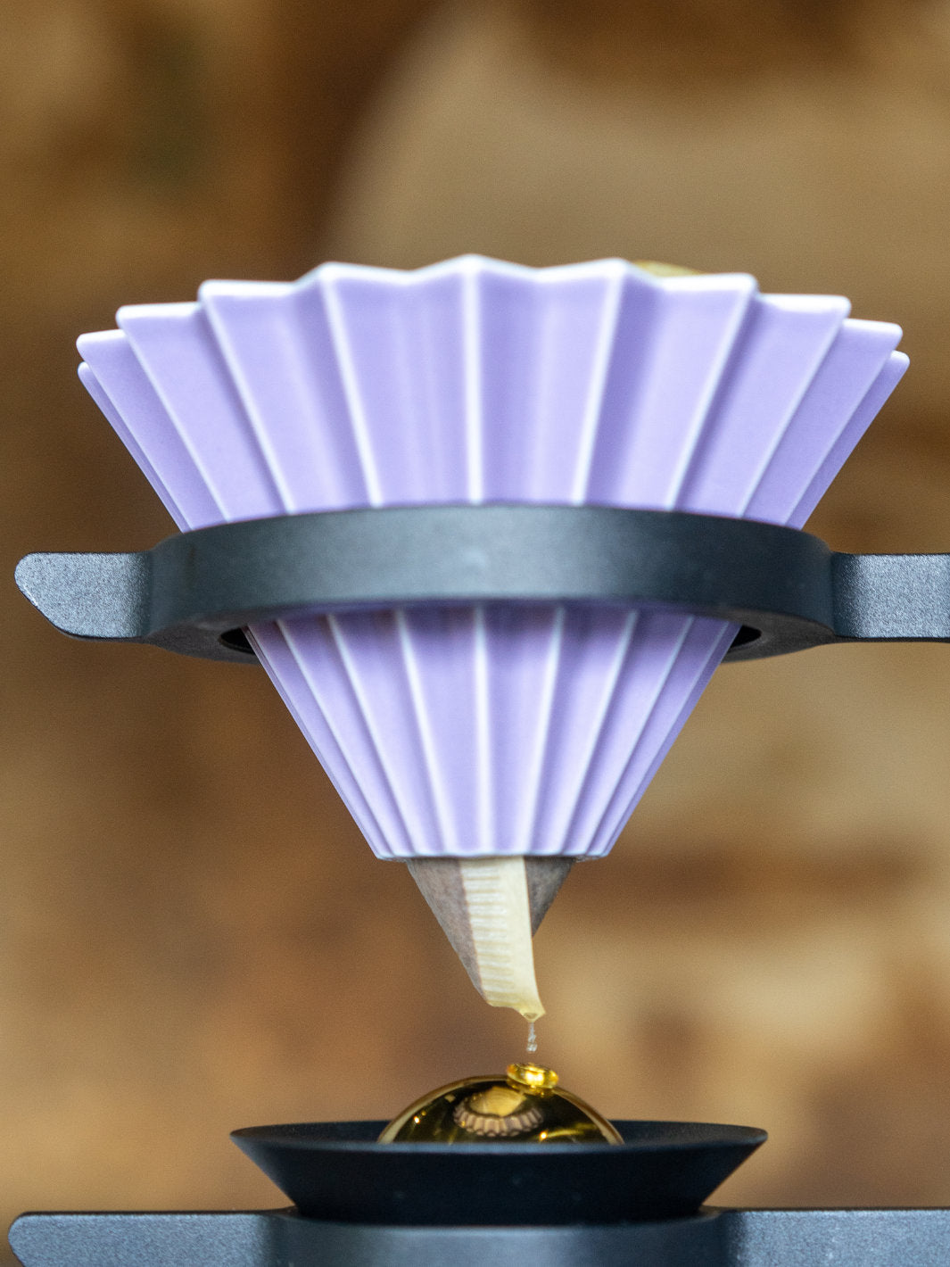 NUCLEUS Paragon (V2)