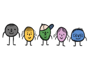 Variety of Coffee Bean Illustration