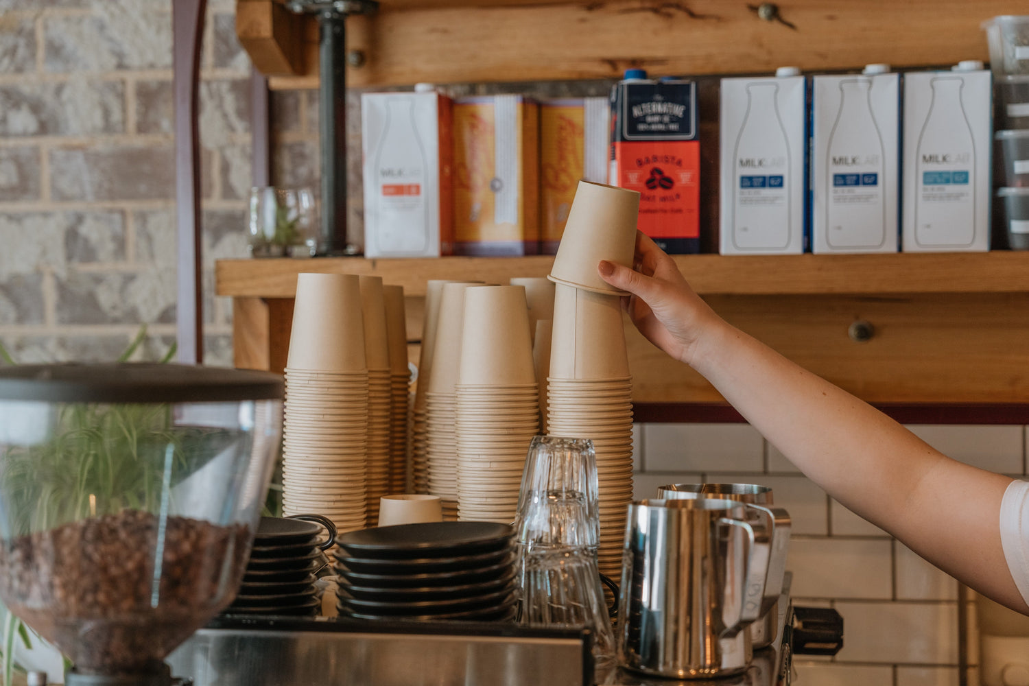 Single Use Cups