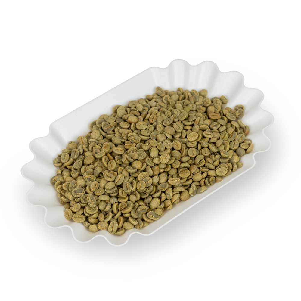 Green coffee outlet importers