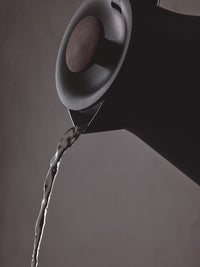 Photo of FELLOW Corvo EKG Pro Electric Kettle (120V) ( ) [ Fellow ] [ Kettles ]