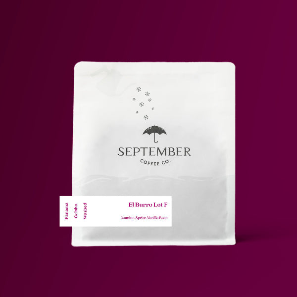 September - El Burro: Lot F