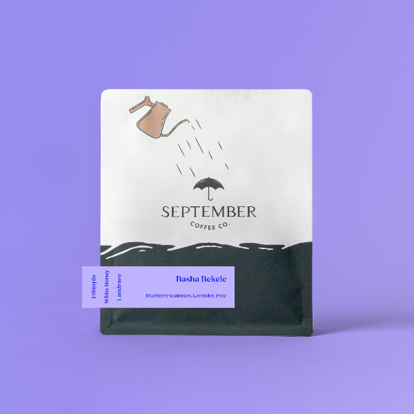 Photo of September - Basha Bekele: White Honey ( ) [ September Coffee Co ] [ Coffee ]