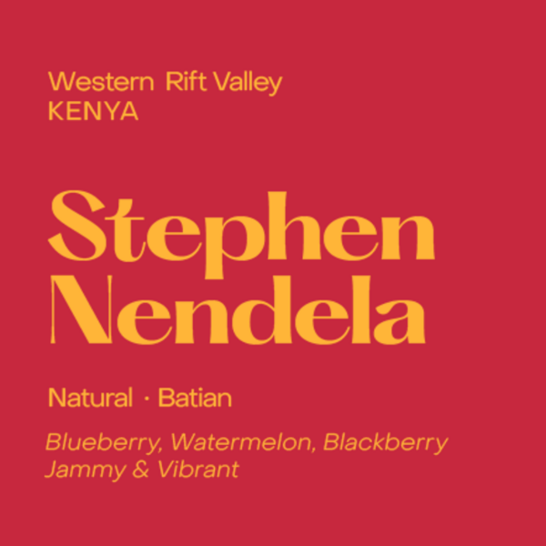 Subtext - Stephen Nendela: Natural