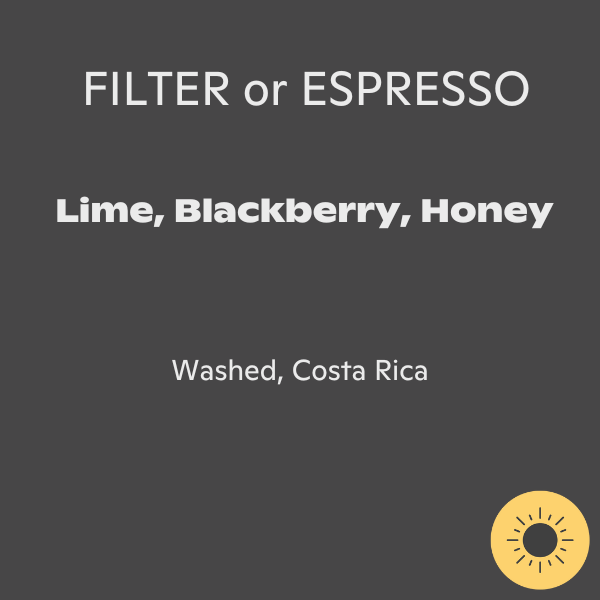 Ditta Artigianale - Finca S.Teresa Sl28