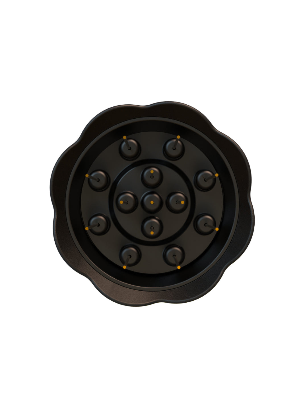 NUCLEUS Bloom Distribution Tool