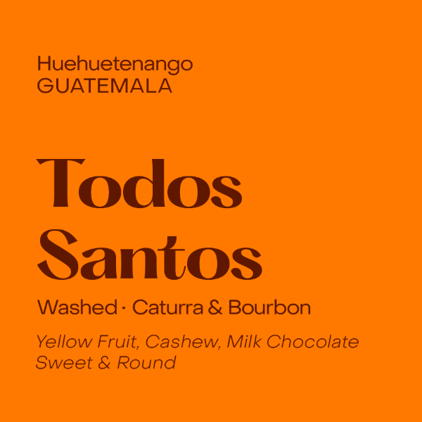 Photo of Subtext - Todos Santos ( Default Title ) [ Subtext Coffee Roasters ] [ Coffee ]