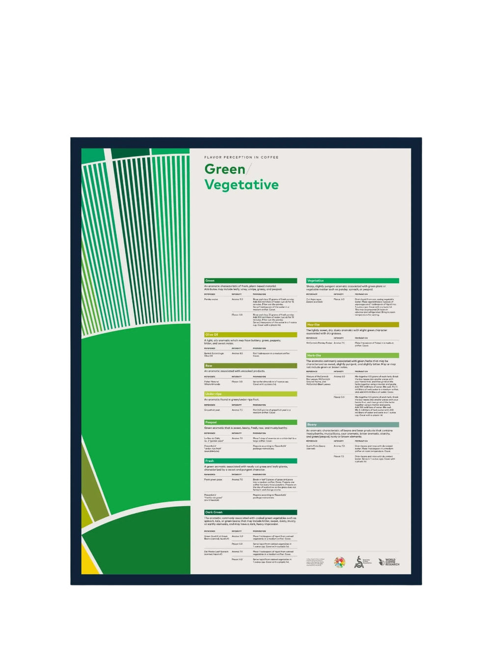 SCA Flavour Perception in Coffee Poster (Green/Vegetative)