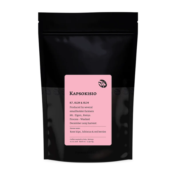 Tim Wendelboe - Kapsokisio