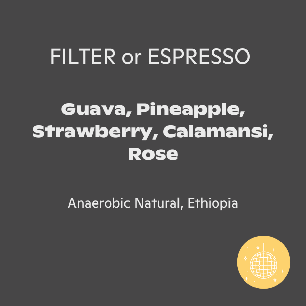 Rogue Wave Coffee - Melese Wolde Shantawane