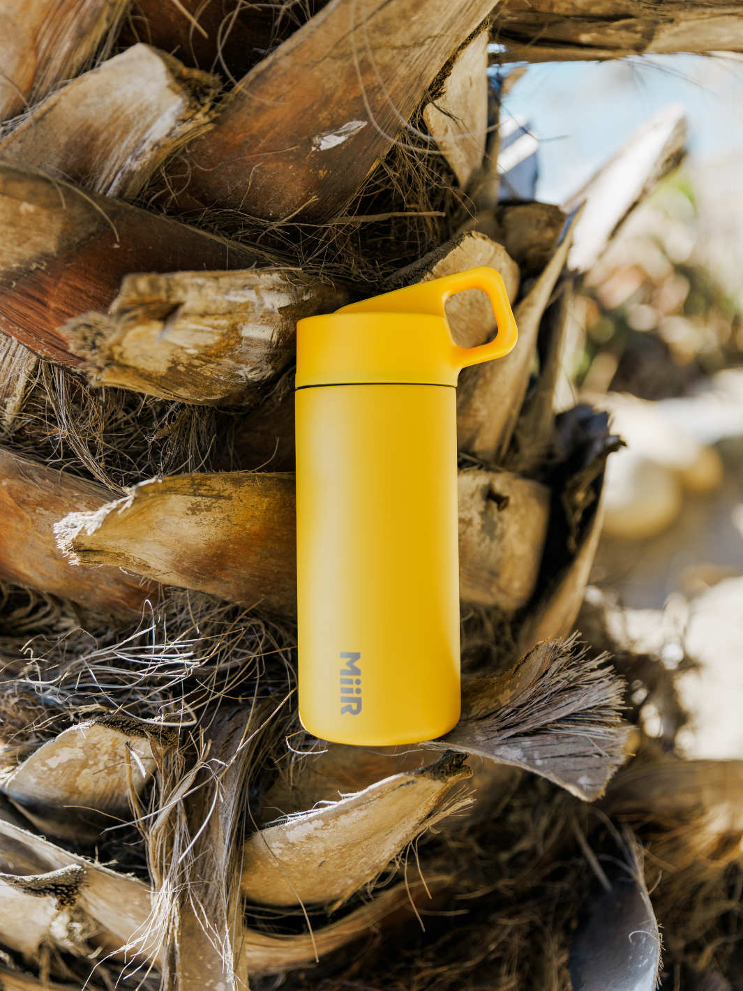 MiiR Straw Bottle (355ml/12oz)