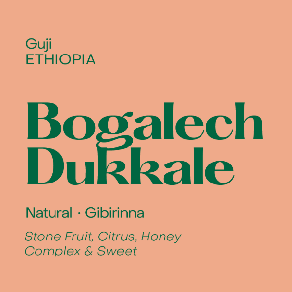 Photo of Subtext - Bogalech Dukkale ( Default Title ) [ Subtext Coffee Roasters ] [ Coffee ]