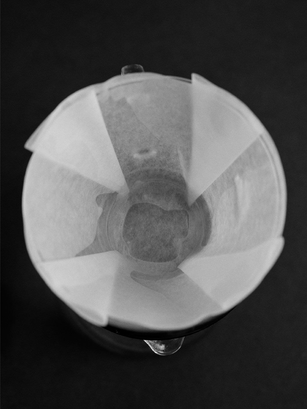 SIBARIST FLAT Specialty Coffee Filters