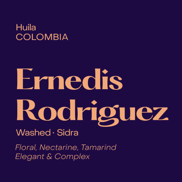 Subtext - Ernedis Rodriguez: Sidra