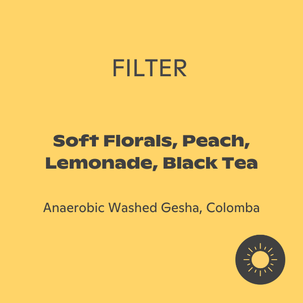 Black & White - Diego Horta