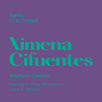 Photo of Subtext - Ximena Cifuentes ( Default Title ) [ Subtext Coffee Roasters ] [ Coffee ]