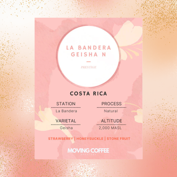 Moving Coffee - La Bandera Geisha N