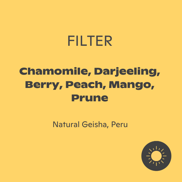 Photo of Fritz Coffee - El Cerro Geisha ( ) [ Fritz Coffee Company ] [ Coffee ]