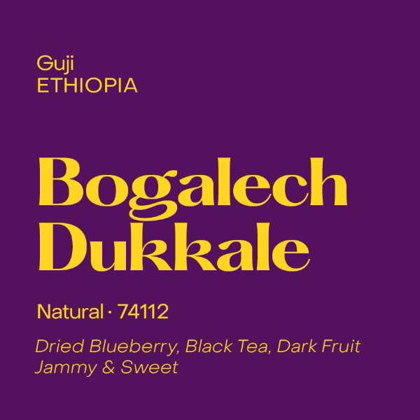 Subtext - Bogalech Dukkale Espresso (1kg)